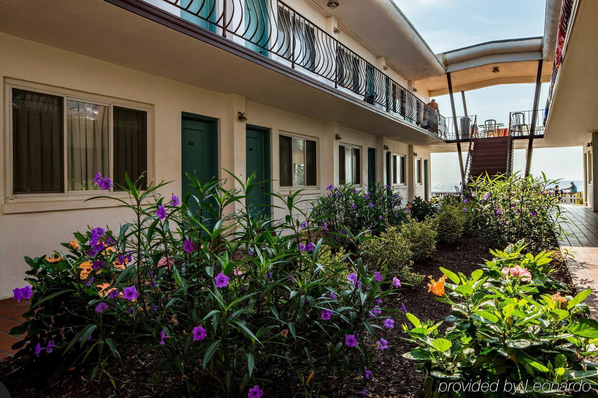 Beach Plaza Hotel Ocean City Eksteriør billede